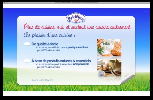 ⭐⭐⭐ Manu Lechat- Webdesigner, intégrateur, développeur Web freelance, racines tactiles