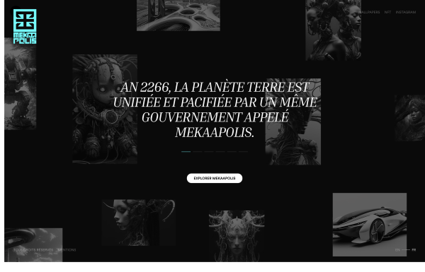 portfolio développeur web
